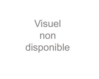 Filament ABS sans perturbateurs endocriniens - Rouge Ø 1,75mm 0,5kg