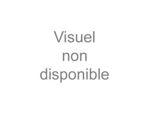 Lames de scie à métaux bi-métal 300mm (lot de 3)