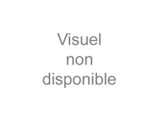 Paquet de 100 pailles Vertes longueur 200 mm