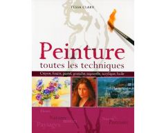 Livre peinture toutes les techniques 