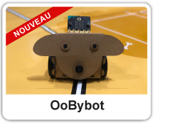 OoBybot